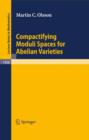 Image for Compactifying moduli Spaces for abelian varieties