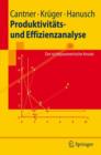 Image for Produktivitats- und Effizienzanalyse : Der nichtparametrische Ansatz