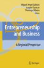 Image for Entrepreneurship and business  : a regional perspective