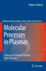 Image for Molecular Processes in Plasmas: Collisions of Charged Particles with Molecules