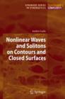 Image for Nonlinear Waves and Solitons on Contours and Closed Surfaces