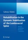 Image for Rehabilitation in the Dynamic Stabilization of the Lumbosacral Spine