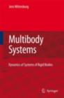 Image for Dynamics of Multibody Systems