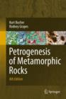 Image for Petrogenesis of metamorphic rocks