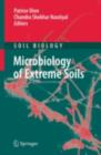 Image for Microbiology of Extreme Soils
