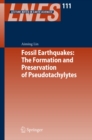 Image for Fossil earthquakes: the formation and preservation of Pseudotachylytes