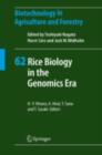 Image for Rice biology in the genomics era : v. 62