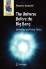 Image for The universe before the big bang: cosmology and string theory