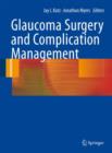 Image for Glaucoma Surgery and Complication Management