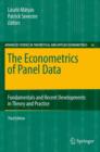 Image for The econometrics of panel data  : fundamentals and recent developments in theory and practice