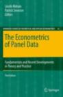 Image for The econometrics of panel data: fundamentals and recent developments in theory and practice