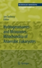Image for Hydrogenosomes and Mitosomes: Mitochondria of Anaerobic Eukaryotes