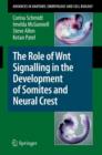 Image for The role of Wnt signalling in the development of somites and neural crest