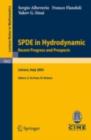 Image for SPDE in Hydrodynamics: Recent Progress and Prospects: Lectures given at the C.I.M.E. Summer School held in Cetraro, Italy, August 29 - September 3, 2005