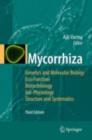 Image for Mycorrhiza: state of the art, genetics and molecular biology, eco-function, biotechnology, eco-physiology, structure and systematics