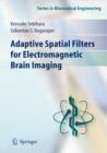 Image for Adaptive Spatial Filters for Electromagnetic Brain Imaging