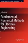 Image for Fundamental numerical methods for electrical engineering