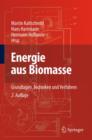 Image for Energie aus Biomasse : Grundlagen, Techniken und Verfahren