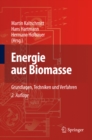 Image for Energie aus Biomasse: Grundlagen, Techniken und Verfahren