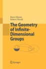 Image for The geometry of infinite-dimensional groups