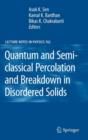 Image for Quantum and Semi-classical Percolation and Breakdown in Disordered Solids
