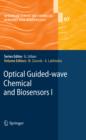 Image for Optical guided-wave chemical and biosensors