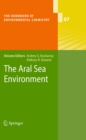 Image for The Aral Sea environment
