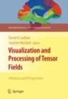 Image for Visualization and processing of tensor fields: advances and perspectives
