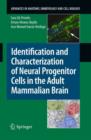 Image for Identification and Characterization of Neural Progenitor Cells in the Adult Mammalian Brain