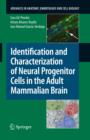 Image for Identification and characterization of neural progenitor cells in the adult mammalian brain