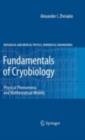 Image for Fundamentals of cryobiology: physical phenomena and mathematical models
