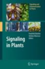 Image for Signaling in plants