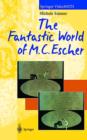 Image for The Fantastic World of M.C. Escher