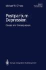 Image for Postpartum Depression : Causes and Consequences