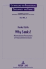 Image for Why Banks? : Microeconomic Foundations of Financial Intermediaries