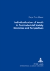 Image for Individualization of Youth in Post-industrial Society: Dilemmas and Perspectives