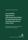 Image for Akademie fuer Deutsches Recht 1933-1945- Protokolle der Ausschuesse- Ausschu fuer Jugendrecht, Arbeitsgemeinschaften fuer Jugendarbeitsrecht und Jugendstrafrecht (1934-1941)