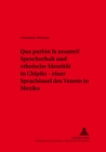 Image for «Qua Parlon Fa Noantri!» Spracherhalt Und Ethnische Identitaet in Chipilo - Einer Sprachinsel Des Veneto in Mexiko