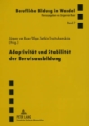Image for Adaptivitaet Und Stabilitaet Der Berufsausbildung