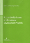 Image for Accountability Issues in International Development Projects