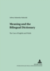 Image for Meaning and the Bilingual Dictionary