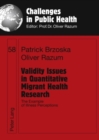 Image for Validity Issues in Quantitative Migrant Health Research : The Example of Illness Perceptions