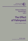 Image for The Effect of Palimpsest : Culture, Literature, History