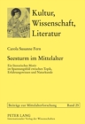 Image for Seesturm Im Mittelalter : Ein Literarisches Motiv Im Spannungsfeld Zwischen Topik, Erfahrungswissen Und Naturkunde