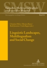 Image for Linguistic landscapes, multilingualism and social change