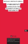 Image for Unbegrenzt : Literatur und interkulturelle Erfahrung
