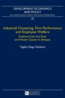 Image for Industrial clustering, firm performance and employee welfare  : evidence from the shoe and flower cluster in Ethiopia