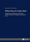 Image for What Does It Look Like?: Wittgenstein&#39;s Philosophy in the Light of His Conception of Language Description: Part I