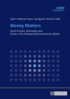 Image for Money Matters : Some Puzzles, Anomalies and Crises in the Standard Macroeconomic Model