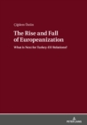 Image for The Rise and Fall of Europeanization: What is Next for Turkey-EU Relations?